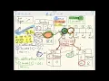 CS1A Tutorial Attributes with Array Types 03 Student Class Demystifying the Dot Notation