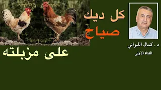 كل ديك على مزبلته صياح 