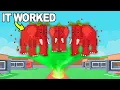 Download Lagu I Unlocked The Brand New SECRET RITUAL In Steal a Brainrot!