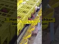 Download Lagu Punya usaha sampingan!