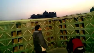 عزت وزه ملك الغوزار 