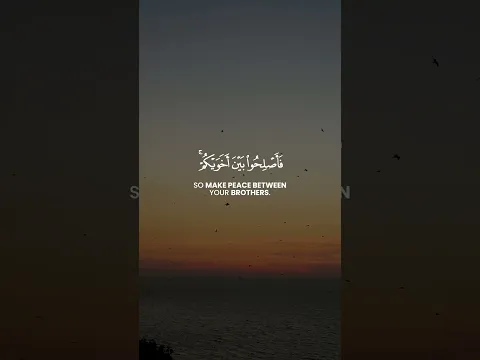 One brotherhood | Al-Hujurat V. 10 | Saad Ezzaouit | سعد أزويت