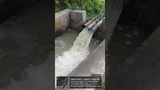                     دندنها