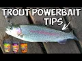 Top 10 Trout Powerbait Trout Fishing Tips Don t Forget