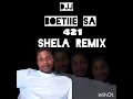 Lagu djj_boetiie_sa_421_shela_remix_official_audio