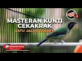 Download Lagu 🔴Masteran Kunti Cekakrak Satu Jalur Materi Cucak Cungkok Gacor