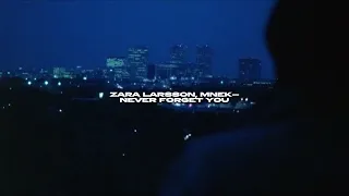 Zara Larsson Mnek Never Forget You Sped Up Reverb 