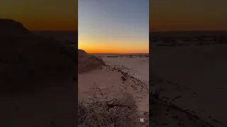 نيجي نحسبها نطلع مديون مسيبها Comedy Comedy شجاعة Xbox  نيجي نحسبها نطلع مديون مسيبها Comedy Comedy شجاعة Xbox