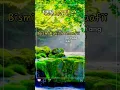 Download Lagu Assalamualaikum dan selamat pagi Jom amalkan bacaan Lima Bismillah. #doa #doapagi #amalan