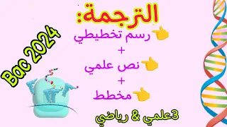 الترجمة في مخطط نص علمي رسم تخطيطي وحدة تركيب البروتين 