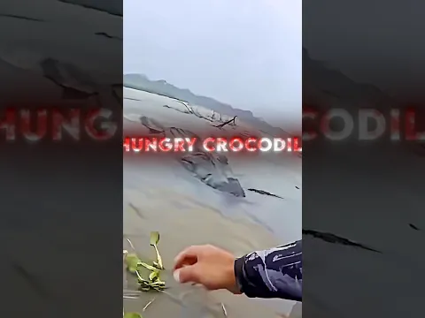 He Saved A Baby Otter And Its Mother ❤️‍🩹