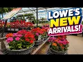 Lowe s New Arrivals Deals Weekend Plants Prices Fresh Finds