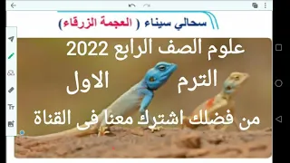 سحالى سيناء العجمة الزرقاء اخر درس من المفهوم 1 4 علوم الصف الرابع منهج جديد ترم اول 2022 