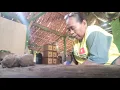 Download Lagu Alkhamdulilah wis rpung nek dadan pawon karek pindahan sapi