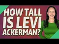 How tall is Levi Ackerman