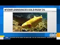 WVDNR announces 2024 Gold Rush