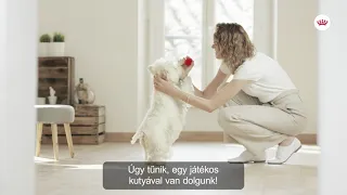 Royal Canin Sterilised száraz tápok kutyáknak | Petissimo