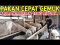 Download Lagu CARA BUAT PAKAN KAMBING MURAH MERIAH BIKIN CEPAT GEMUK