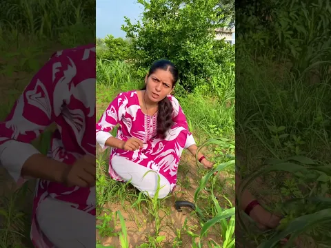 Finish my all rice 🌾 😂 #shorts #youtubeshorts