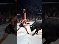 Lagu Bro vs Bull #ai #fight #mma #ufc #muaythai #kickboxing #boxing #shorts