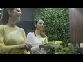Discover The Authentic Flavors Of The Middle East At Malek Al-Kabob Dearborn Michigan