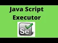 Javascript Executor in Selenium Web driver execute javascript code in selenium