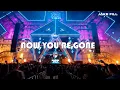 Download Lagu Basshunter - Now You're Gone (Jake Fill Bootleg)