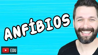 ANFÍBIOS - CORDADOS VERTEBRADOS | Biologia com Samuel Cunha