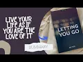 Download Lagu This Is Me Letting You Go (Book Summary)