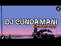 Download Lagu DJ CUNDAMANI VIRALL LAGI !!!!!  (pemula)