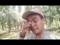 Download Lagu Kami tetap kuat||tiba\