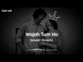 Download Lagu Wajah Tum Ho 🥰 || Hate Story 3 || Lofi + Slowed + Reverb || Stay Lofi ||