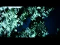 Rocka -olurum sana