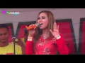 Download Lagu CINTA TERLARANG EVA AQUILA ROMANSA LIVE LAPANGAN PENDEM