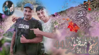 يبدع شيخ منصور 44 في اغنية الله مامديت يدي لعدويا 2025 