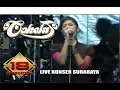 Download Lagu COKELAT - LUKA LAMA (LIVE KONSER SURABAYA 18 OKTOBER 2007)