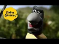 Download Lagu 🐑Shaun, o Carneiro [Shaun the Sheep] O pássaro mau 🐑 Hora Especial🐑| Cartoons Para Crianças