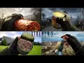 Download Lagu STALKER 2 - Epic Beautiful All Food and Drinks Animation | 4K