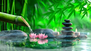 Relaxing Piano Music + Insomnia and Healing 🌿 Relaxing Music, Sleep Music, Meditation, Nature Sound