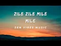 Download Lagu Zile Zile Mile Mile TikTok Remix Song (Matteo - Panama)