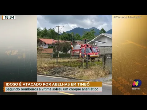 Idoso é atacado por abelhas em Timbó e é encaminhado de helicóptero para o hospital