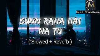 sunna raha hai na tu female version slowed reverb aashiqui 2 lofi song