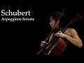 Download Lagu F.Schubert- Arpeggione Sonata