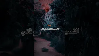 يانوك وين تريدين محتار خليتي حسين قصيدة تاخذك لعالم ثاني 