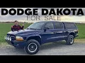 In this I convince you to buy this Dodge Dakota