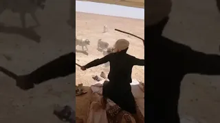 هجوم كلاب شرسة    دندنها