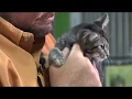 WTVT Live at Hillsborough County Pet Resource Center 5 15 19