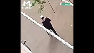 В Новокузнецке человек с игрушечным оружием случайно напугал весь город