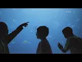 Georgia Aquarium launches resident passes