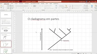 Cladograma   Como montar o seu   Tarefa